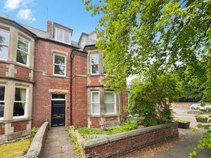 Front- click for photo gallery